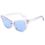 Clear Purple - Bluish Tinted Lens